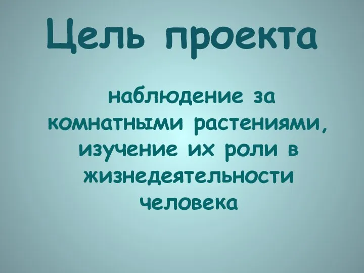 Цель проекта наблюдение за комнатными растениями, изучение их роли в жизнедеятельности человека