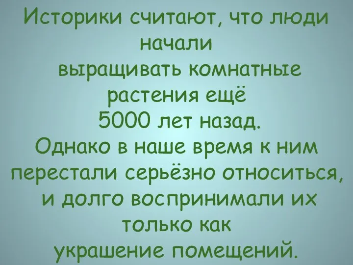 Историки считают, что люди начали выращивать комнатные растения ещё 5000