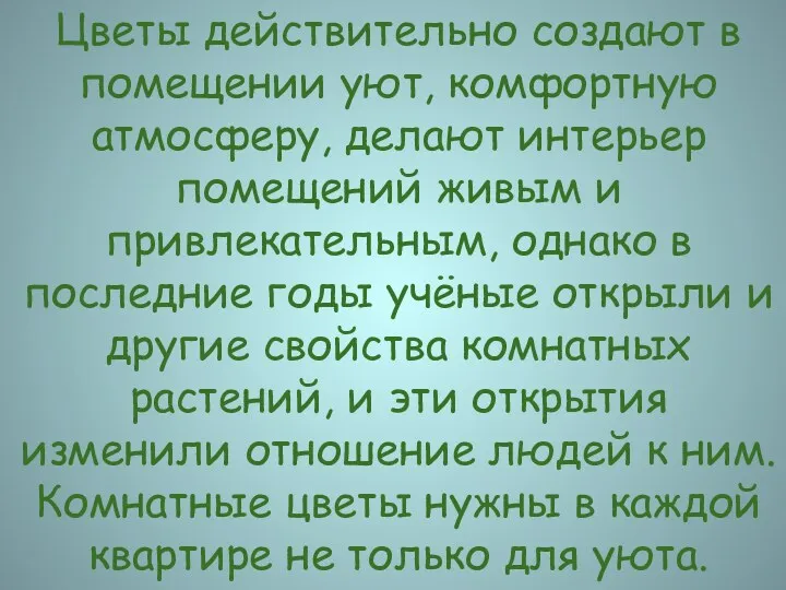 Цветы действительно создают в помещении уют, комфортную атмосферу, делают интерьер