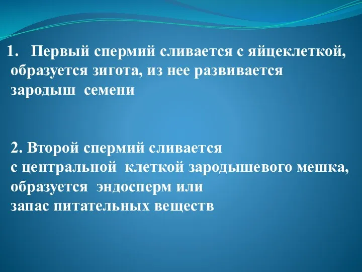 Первый спермий сливается с яйцеклеткой, образуется зигота, из нее развивается