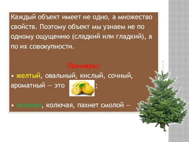 Каждый объект имеет не одно, а множество свойств. Поэтому объект