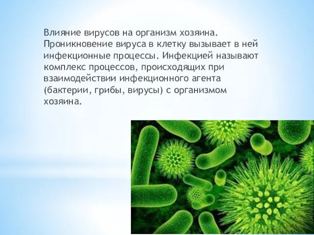 Влияние вирусов на организм хозяина. Проникновение вируса в клетку вызывает