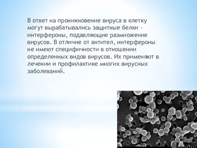 В ответ на проникновение вируса в клетку могут вырабатывались защитные