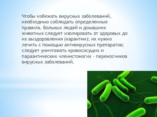 Чтобы избежать вирусных заболеваний, необходимо соблюдать определенные правила. Больных людей