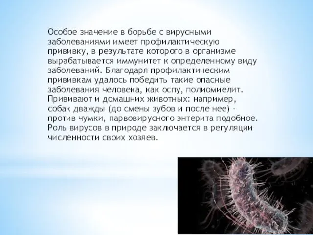 Особое значение в борьбе с вирусными заболеваниями имеет профилактическую прививку,