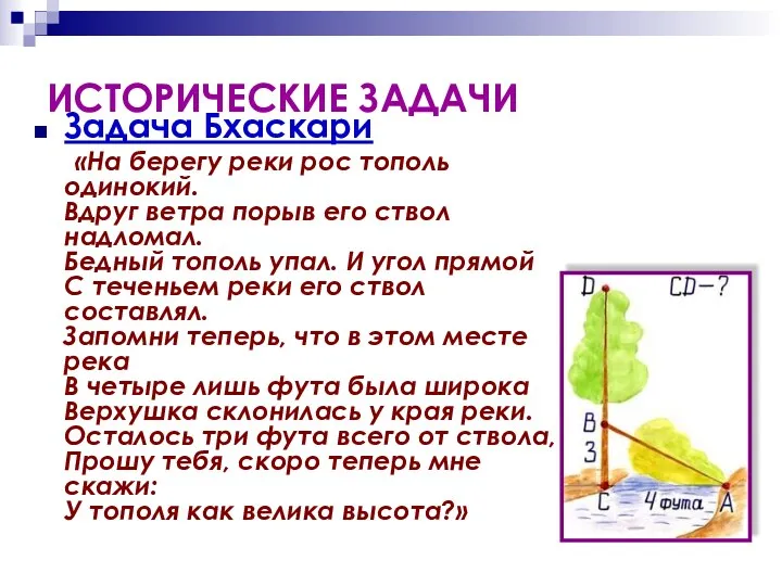 ИСТОРИЧЕСКИЕ ЗАДАЧИ Задача Бхаскари «На берегу реки рос тополь одинокий.