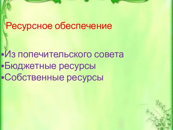 Ресурсное обеспечение Из попечительского совета Бюджетные ресурсы Собственные ресурсы