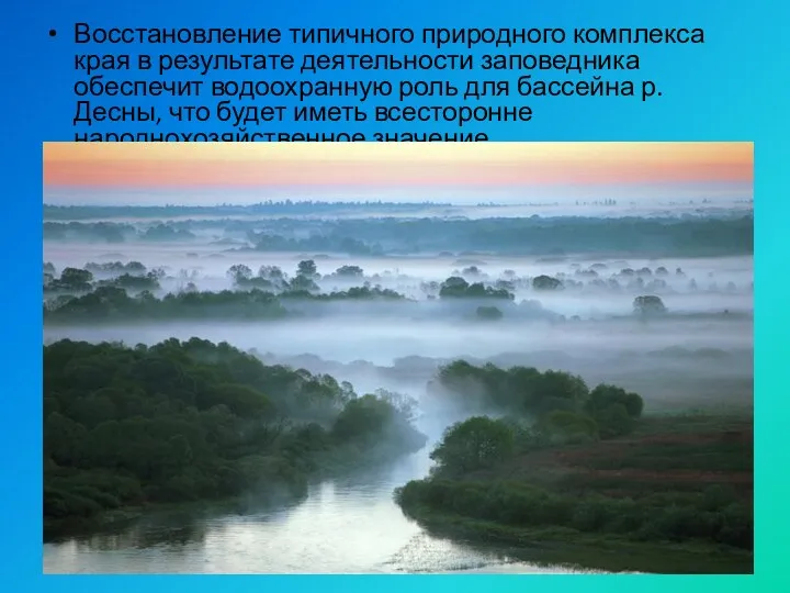 Восстановление типичного природного комплекса края в результате деятельности заповедника обеспечит