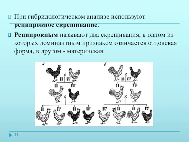 При гибридологическом анализе используют реципрокное скрещивание. Реципрокным называют два скрещивания,