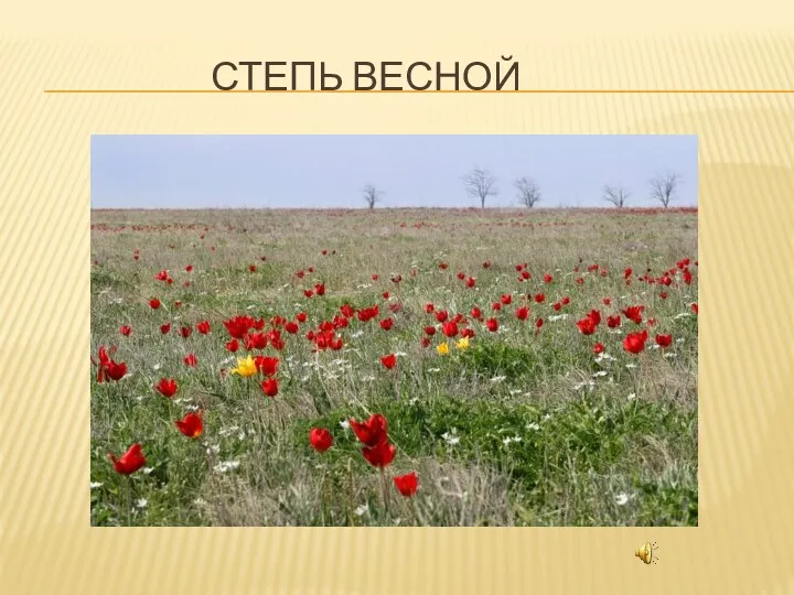 Степь весной