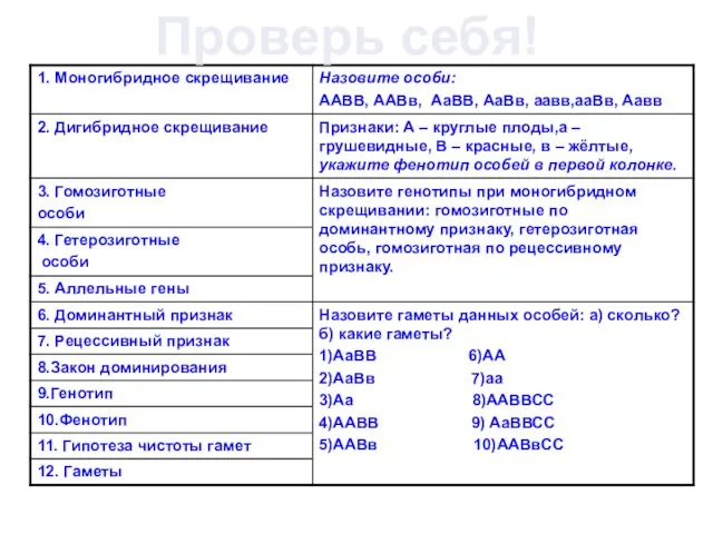 Проверь себя!