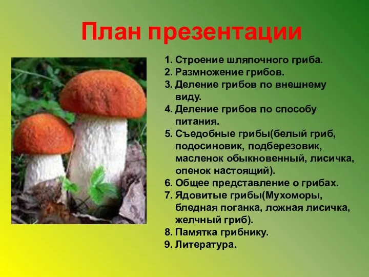 План презентации Строение шляпочного гриба. Размножение грибов. Деление грибов по внешнему виду. Деление