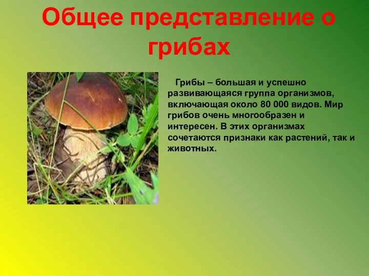 Общее представление о грибах Грибы – большая и успешно развивающаяся группа организмов, включающая
