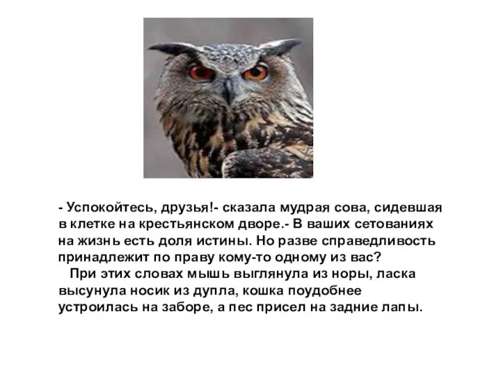 - Успокойтесь, друзья!- сказала мудрая сова, сидевшая в клетке на