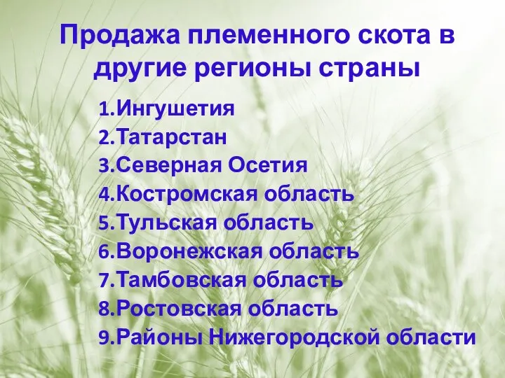 Продажа племенного скота в другие регионы страны 1.Ингушетия 2.Татарстан 3.Северная