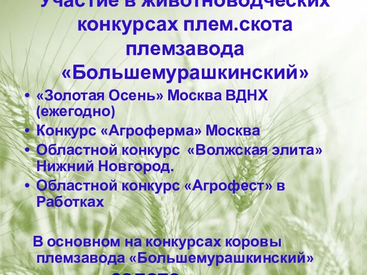 Участие в животноводческих конкурсах плем.скота племзавода «Большемурашкинский» «Золотая Осень» Москва