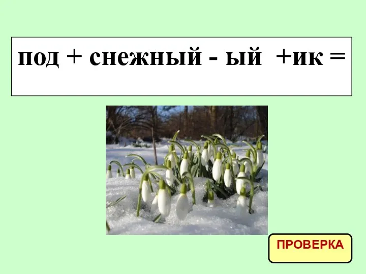 под + снежный - ый +ик = ПРОВЕРКА