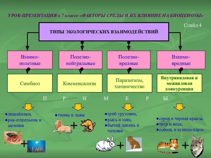 УРОК-ПРЕЗЕНТАЦИЯ в 7 классе «ФАКТОРЫ СРЕДЫ И ИХ ВЛИЯНИЕ НА