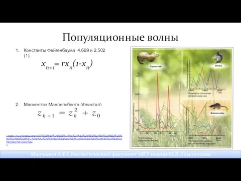 Популяционные волны Молчанов А.Ю. Биологический факультет МГУ имени М.В.Ломоносова 1.https://ru.wikipedia.org/wiki/%D0%9F%D0%BE%D1%81%D1%82%D0%BE%D1%8F%D0%BD%D0%BD%D1%8B%D0%B5_%D0%A4%D0%B5%D0%B9%D0%B3%D0%B5%D0%BD%D0%B1%D0%B0%D1%83%D0%BC%D0%B0 2.