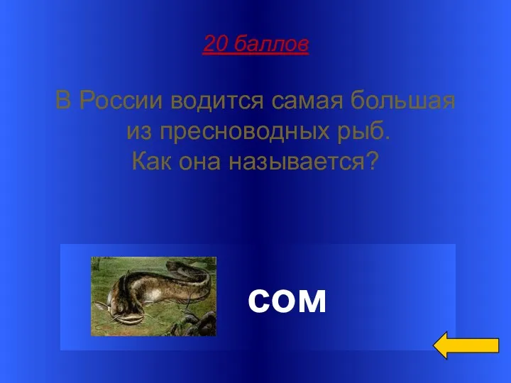 20 баллов В России водится самая большая из пресноводных рыб. Как она называется? сом