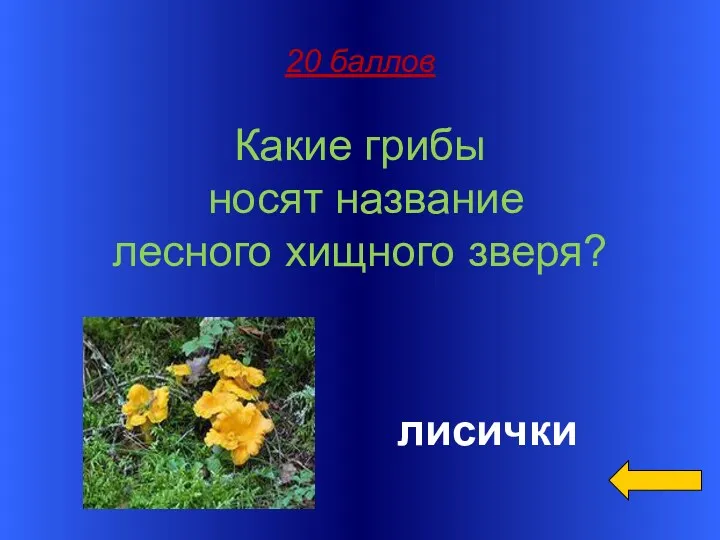 20 баллов Какие грибы носят название лесного хищного зверя? лисички