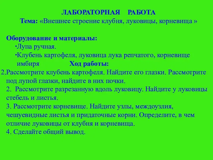 ЛАБОРАТОРНАЯ РАБОТА Тема: «Внешнее строение клубня, луковицы, корневища » Оборудование