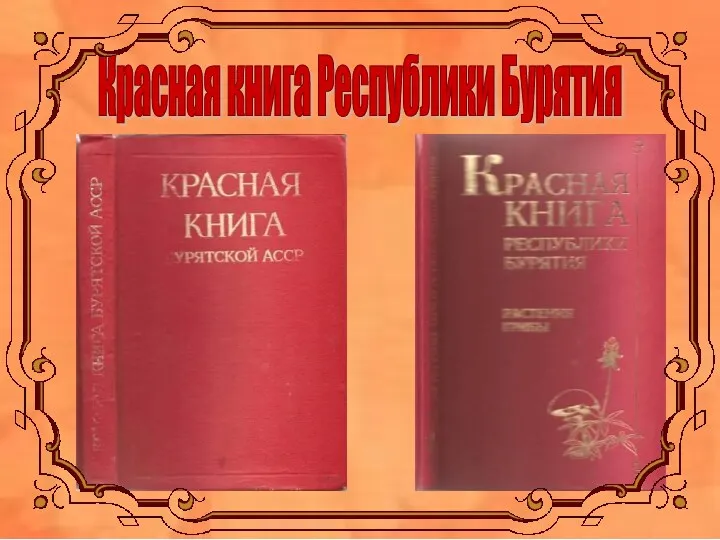 Красная книга Республики Бурятия