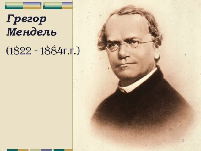 Грегор Мендель (1822 - 1884г.г.)