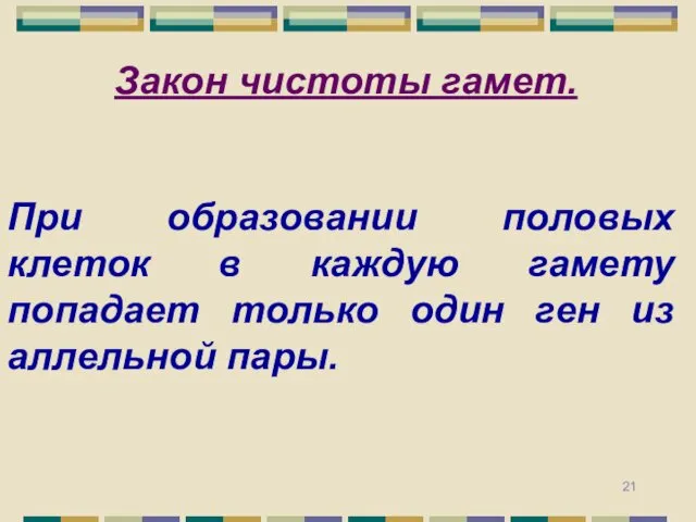 Закон чистоты гамет. При образовании половых клеток в каждую гамету