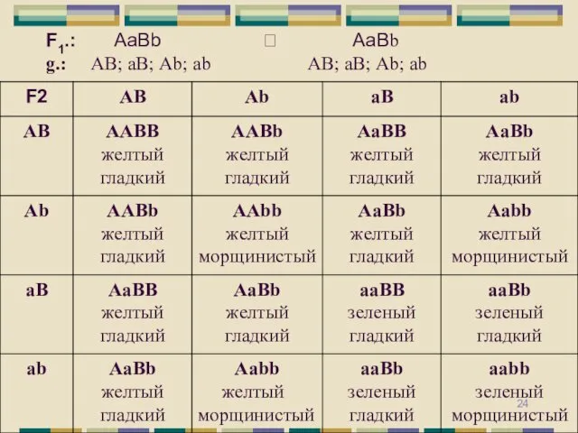 F1.: АаВb ? АаВb g.: АВ; аВ; Аb; ab АВ; аВ; Аb; ab