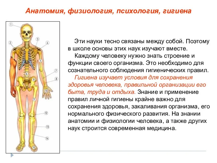 Эти науки тесно связаны между собой. Поэтому в школе основы