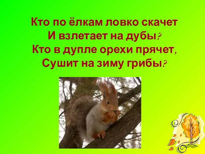 Кто по ёлкам ловко скачет И взлетает на дубы? Кто