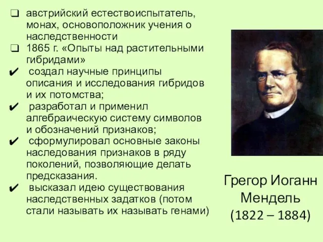 Грегор Иоганн Мендель (1822 – 1884) австрийский естествоиспытатель, монах, основоположник