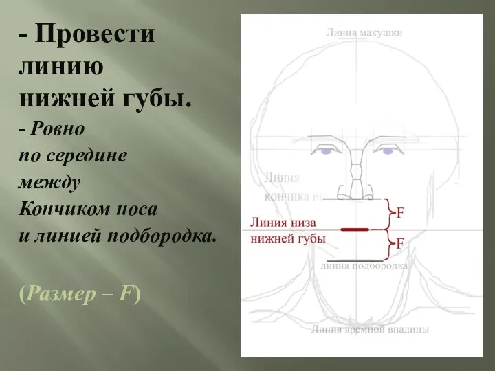 - Провести линию нижней губы. - Ровно по середине между