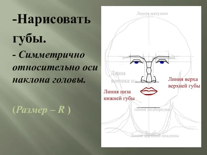 -Нарисовать губы. - Симметрично относительно оси наклона головы. (Размер – R )