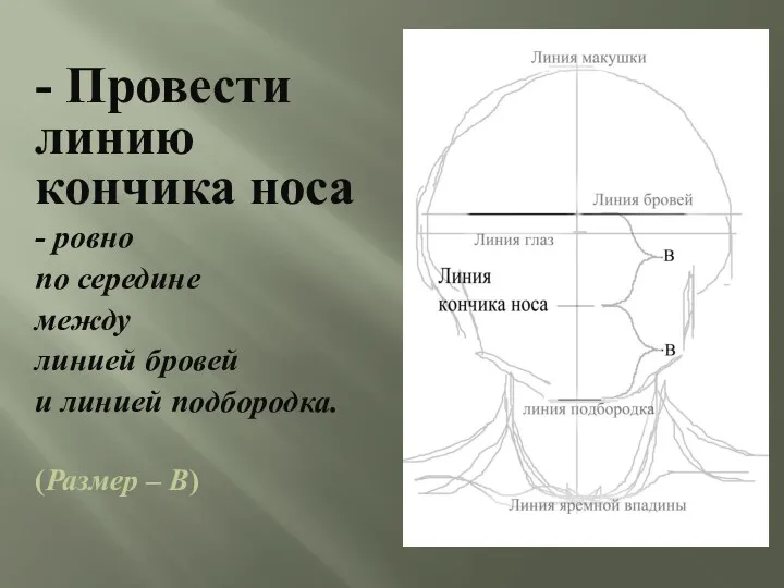 - Провести линию кончика носа - ровно по середине между