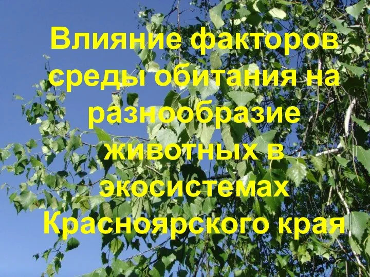 Урок НРК Природа и экология Красноярского края по теме Влияние факторов среды обитания