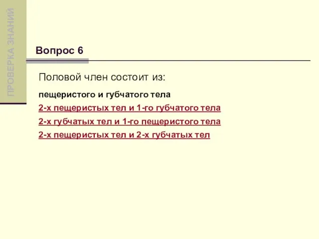 Половой член состоит из: пещеристого и губчатого тела 2-х пещеристых