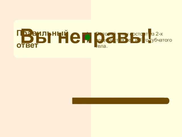 Правильный ответ Вы неправы! Половой член состоит из 2-х пещеристых тел и 1-го губчатого тела.