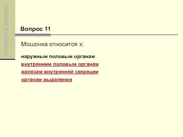 Мошонка относится к: наружным половым органам внутренним половым органам железам внутренней секреции органам выделения Вопрос 11