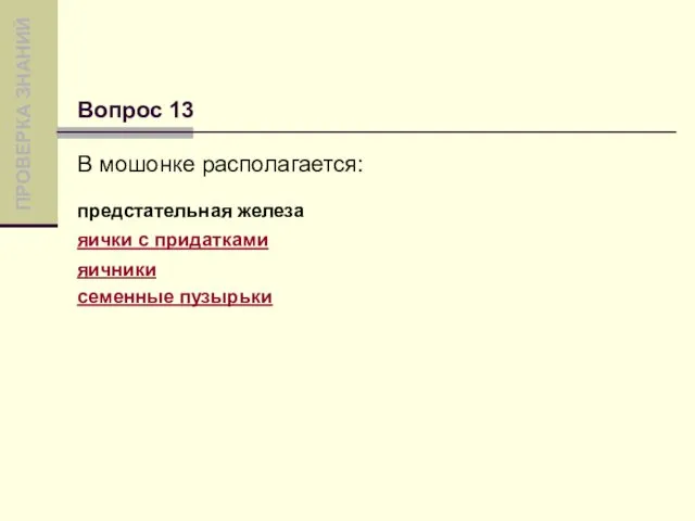 В мошонке располагается: предстательная железа яички с придатками яичники семенные пузырьки Вопрос 13