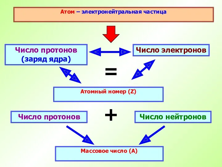 Атом – электронейтральная частица Число протонов (заряд ядра) Атомный номер