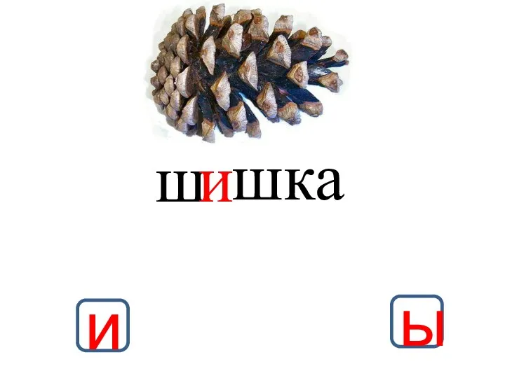 ш и шка и ы