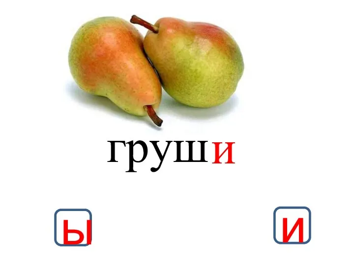 и груш ы и