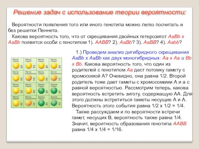 1.) Проведем анализ дигибридного скрещивания АаBb х AaBb как двух