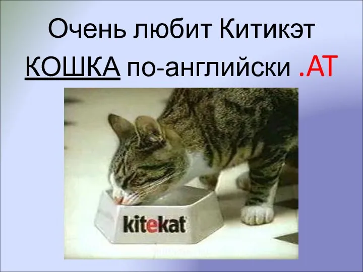 Очень любит Китикэт КОШКА по-английски .AT