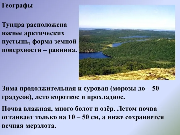 Географы Тундра расположена южнее арктических пустынь, форма земной поверхности –