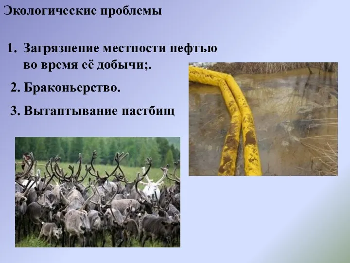 Экологические проблемы Загрязнение местности нефтью во время её добычи;. 2. Браконьерство. 3. Вытаптывание пастбищ