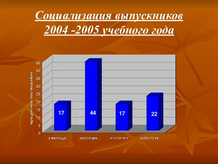 Социализация выпускников 2004 -2005 учебного года