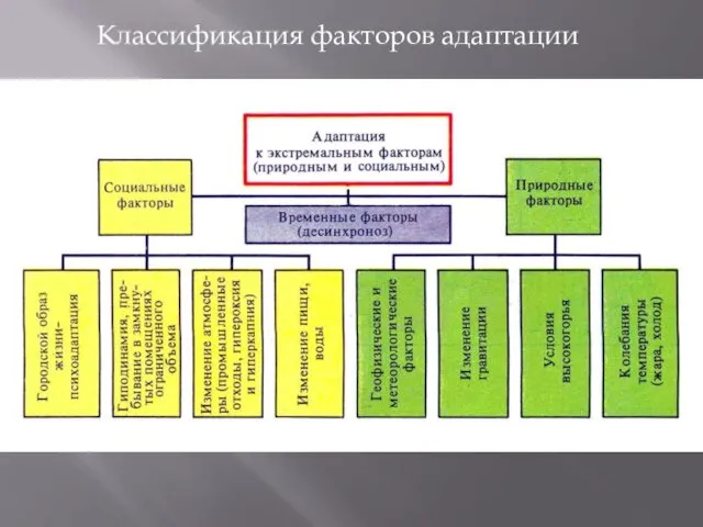 Классификация факторов адаптации